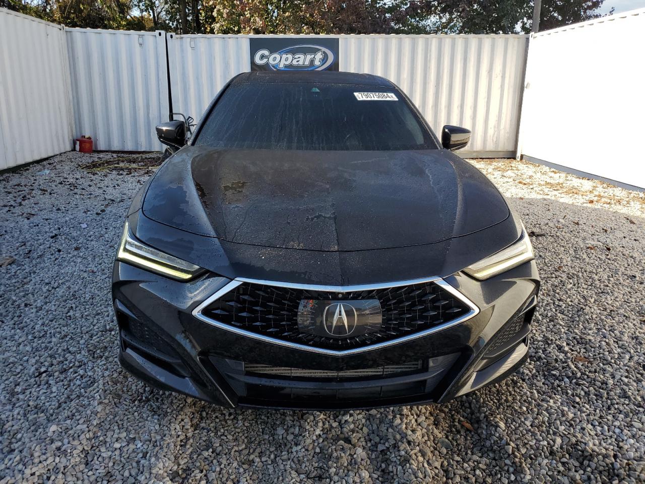 Lot #2978878296 2021 ACURA TLX ADVANC