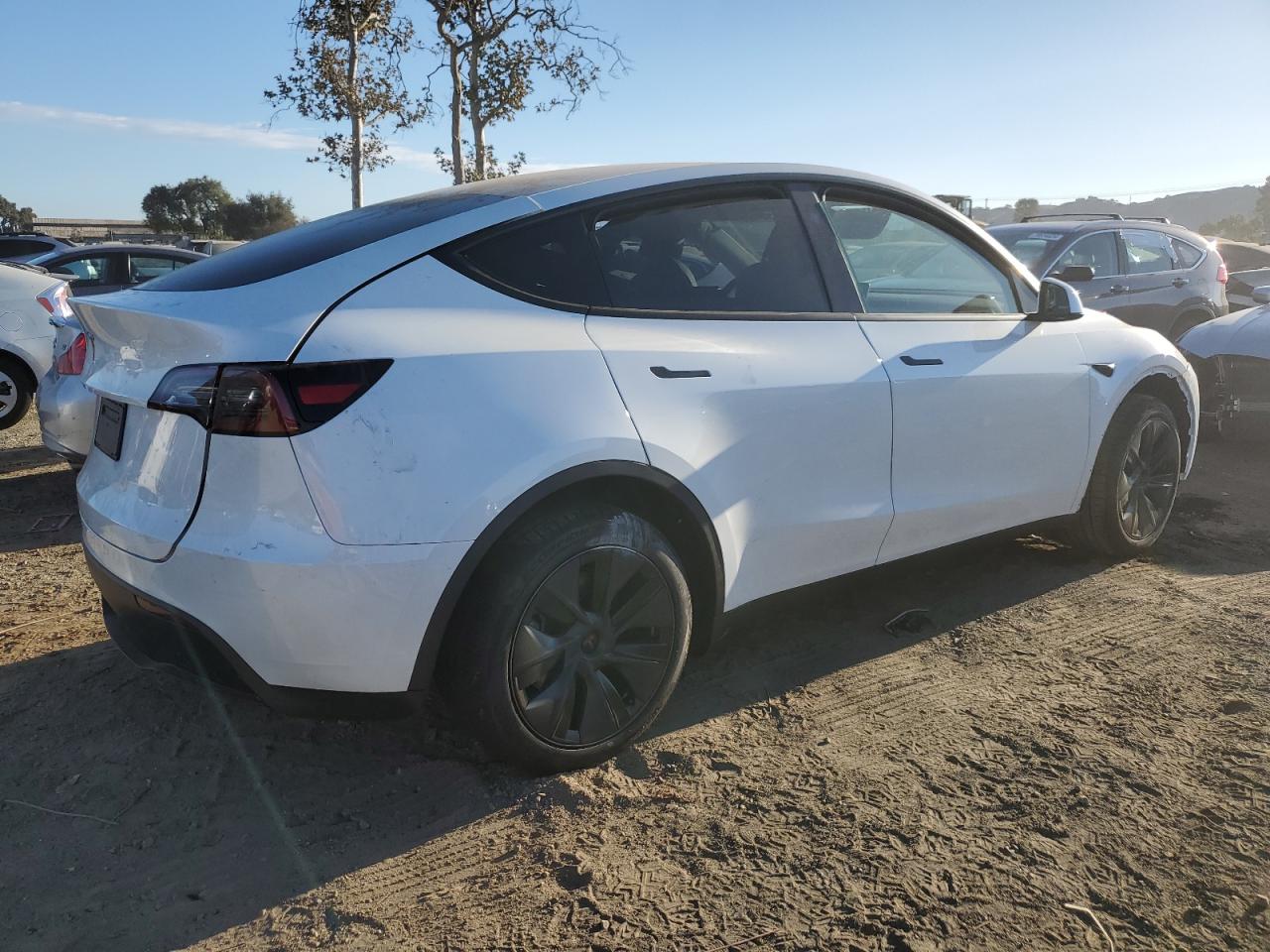 Lot #3025697372 2024 TESLA MODEL Y