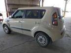 KIA SOUL + photo