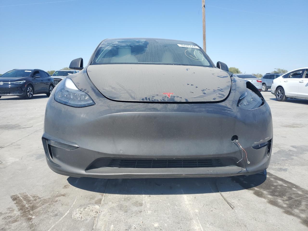 Lot #2953005662 2021 TESLA MODEL Y