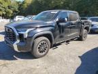 2023 TOYOTA TUNDRA CRE - 5TFLA5DB0PX110714