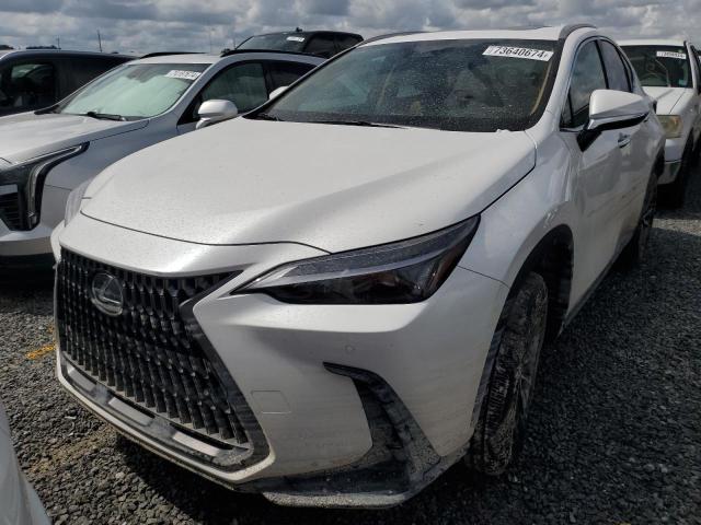 VIN 2T2GDCAZXSC020763 2025 LEXUS NX 250 PRE no.5