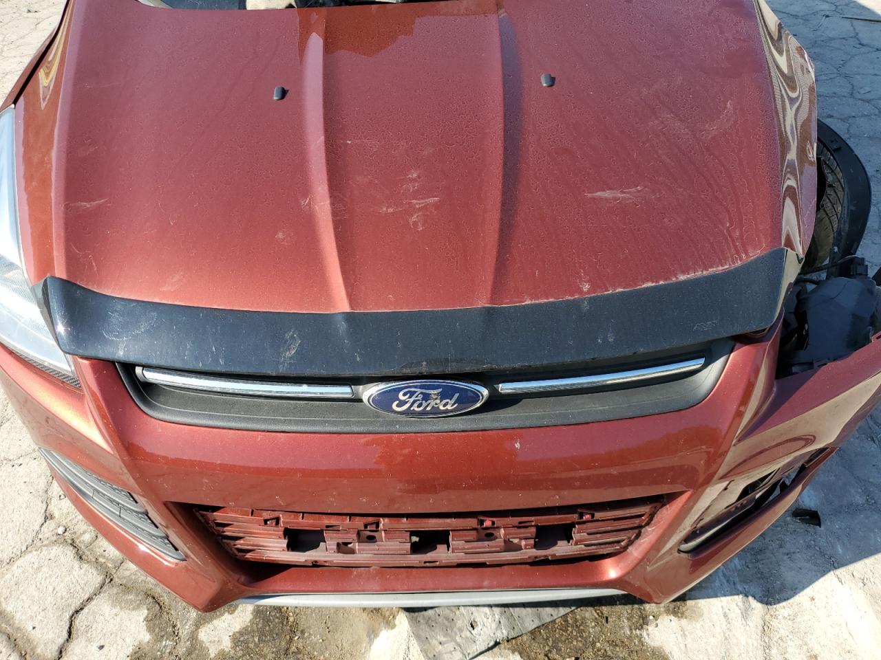 Lot #2972378454 2016 FORD ESCAPE SE