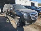 CADILLAC ESCALADE L снимка