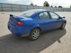 Lot #3023620235 2005 DODGE NEON SXT