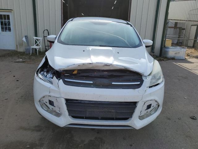 VIN 1FMCU0GXXDUB16501 2013 Ford Escape, SE no.5