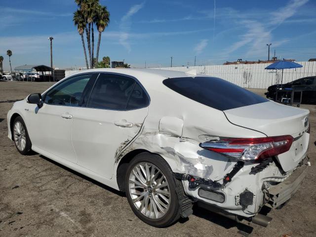 2019 TOYOTA CAMRY HYBR - 4T1B21HK0KU516414