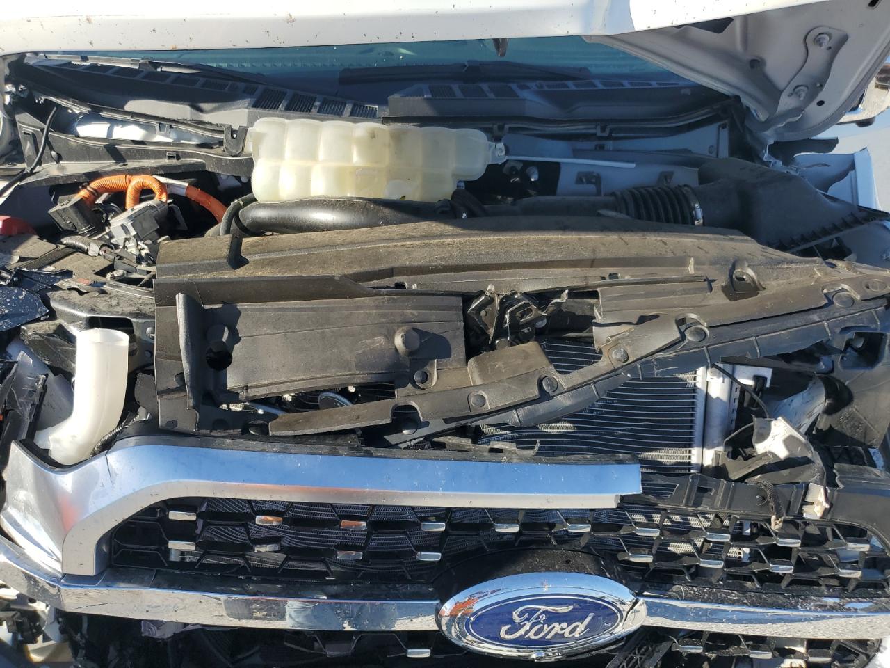 Lot #2972091127 2023 FORD F150 SUPER