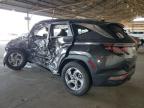 Lot #3027239282 2024 HYUNDAI TUCSON SEL