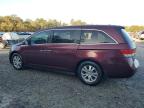 HONDA ODYSSEY EX photo