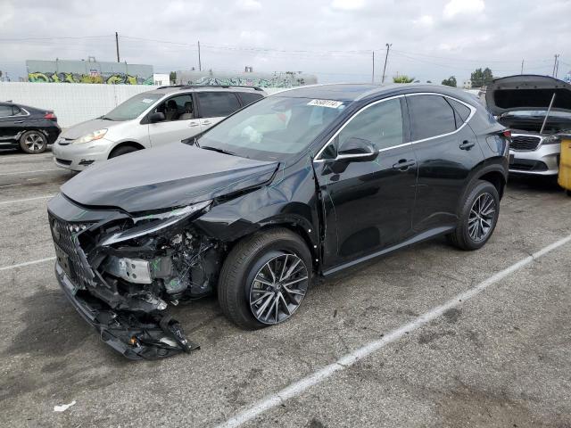 LEXUS NX 350 PRE 2024 black  gas 2T2GGCEZ3RC045242 photo #1