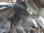 Lot #2959534710 2003 HONDA ELEMENT EX