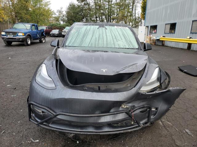 2023 TESLA MODEL Y - 7SAYGDEE7PF809939