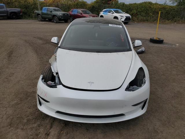 2021 TESLA MODEL 3 - 5YJ3E1EA7MF031002