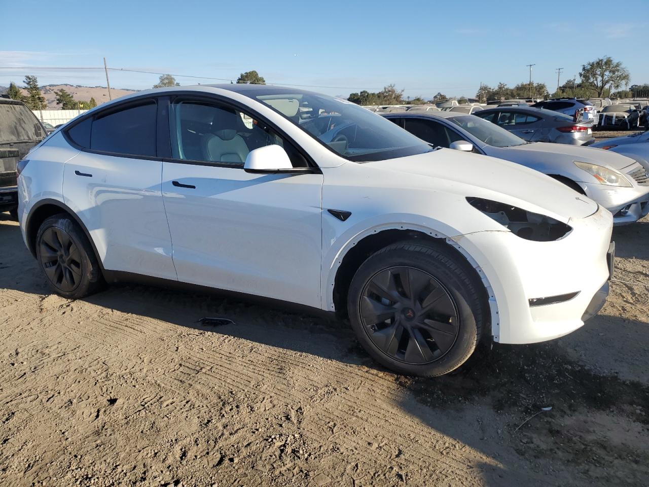 Lot #3025697372 2024 TESLA MODEL Y