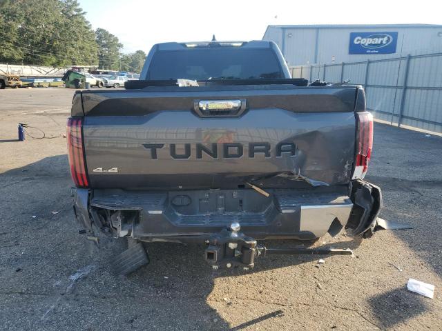 2023 TOYOTA TUNDRA CRE - 5TFJC5DB1PX019646