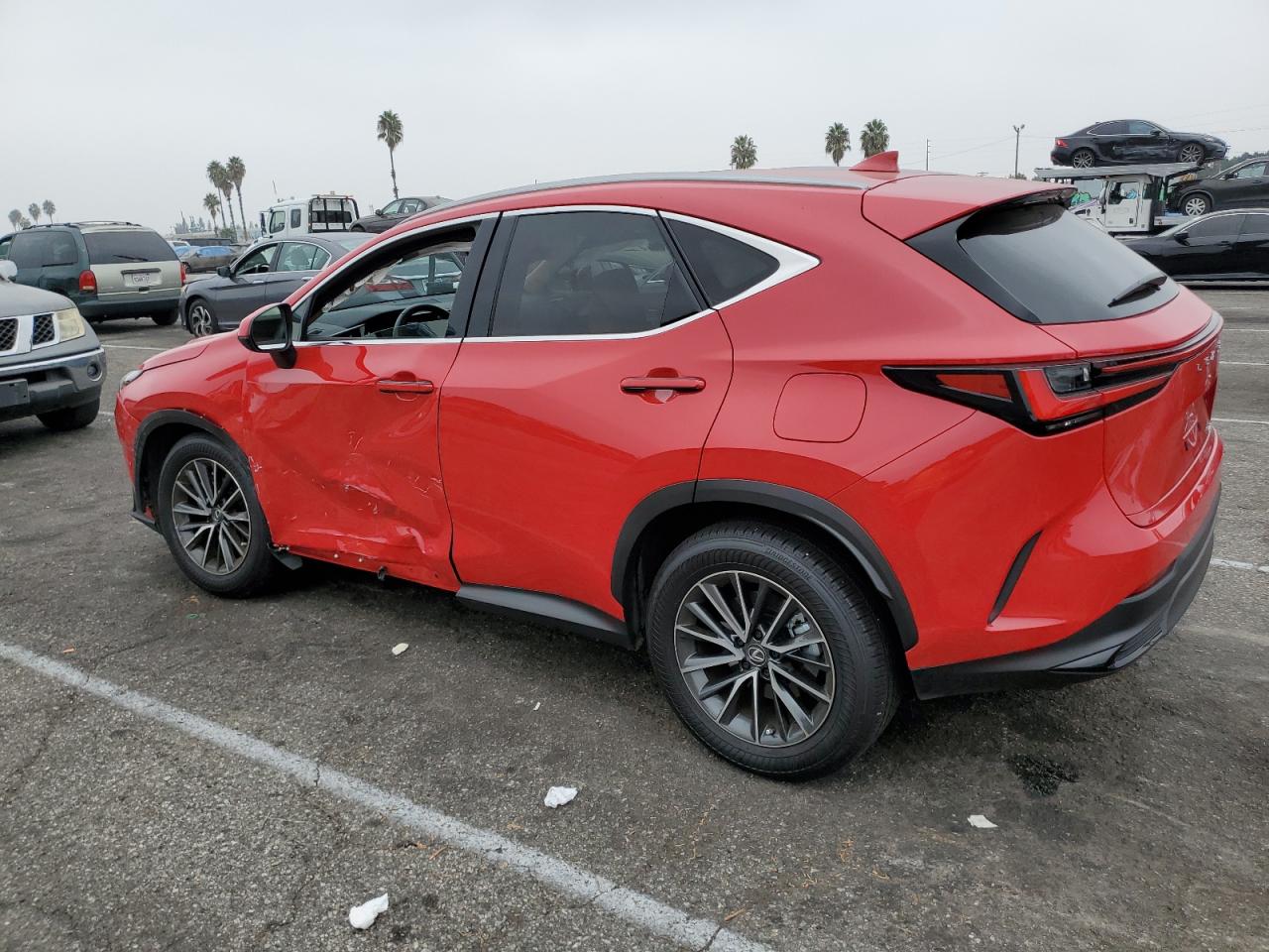 Lot #3023387281 2024 LEXUS NX 250 BAS