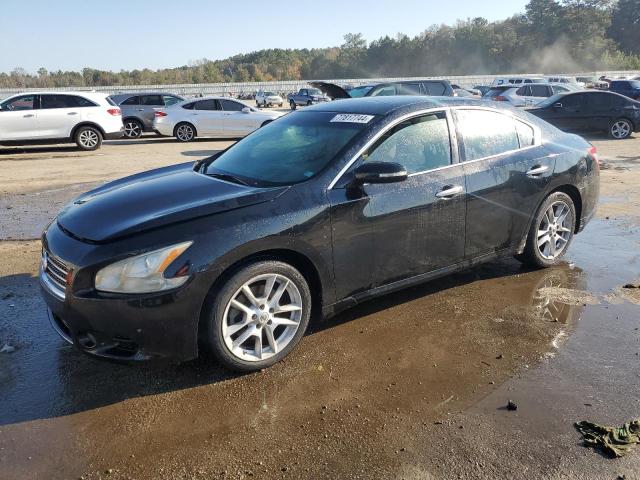 2010 NISSAN MAXIMA S 2010