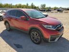 HONDA CR-V EX photo