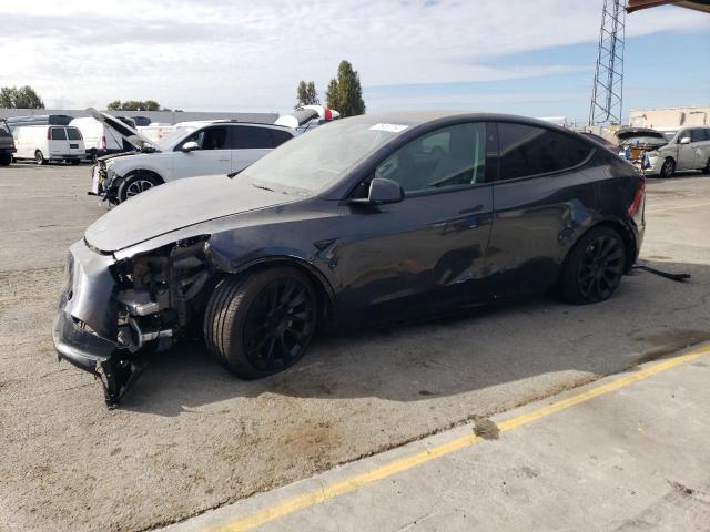 2024 TESLA MODEL Y #2976911596