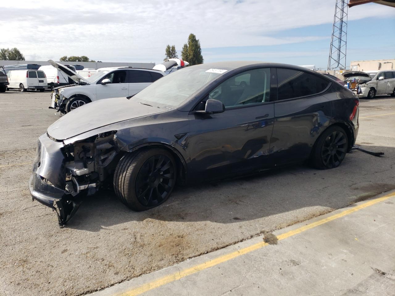 Lot #2976911596 2024 TESLA MODEL Y