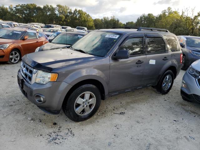 2011 FORD ESCAPE XLT #2977011590