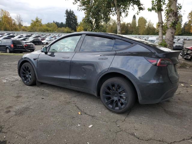 TESLA MODEL Y 2024 gray  electric 7SAYGAEE8RF004842 photo #3