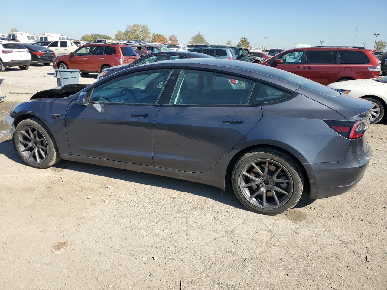 Lot #2996581502 2021 TESLA MODEL 3