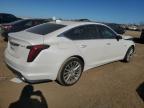 CADILLAC CT5 PREMIU снимка