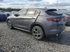 ALFA ROMEO STELVIO photo