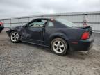 Lot #3024292870 1999 FORD MUSTANG