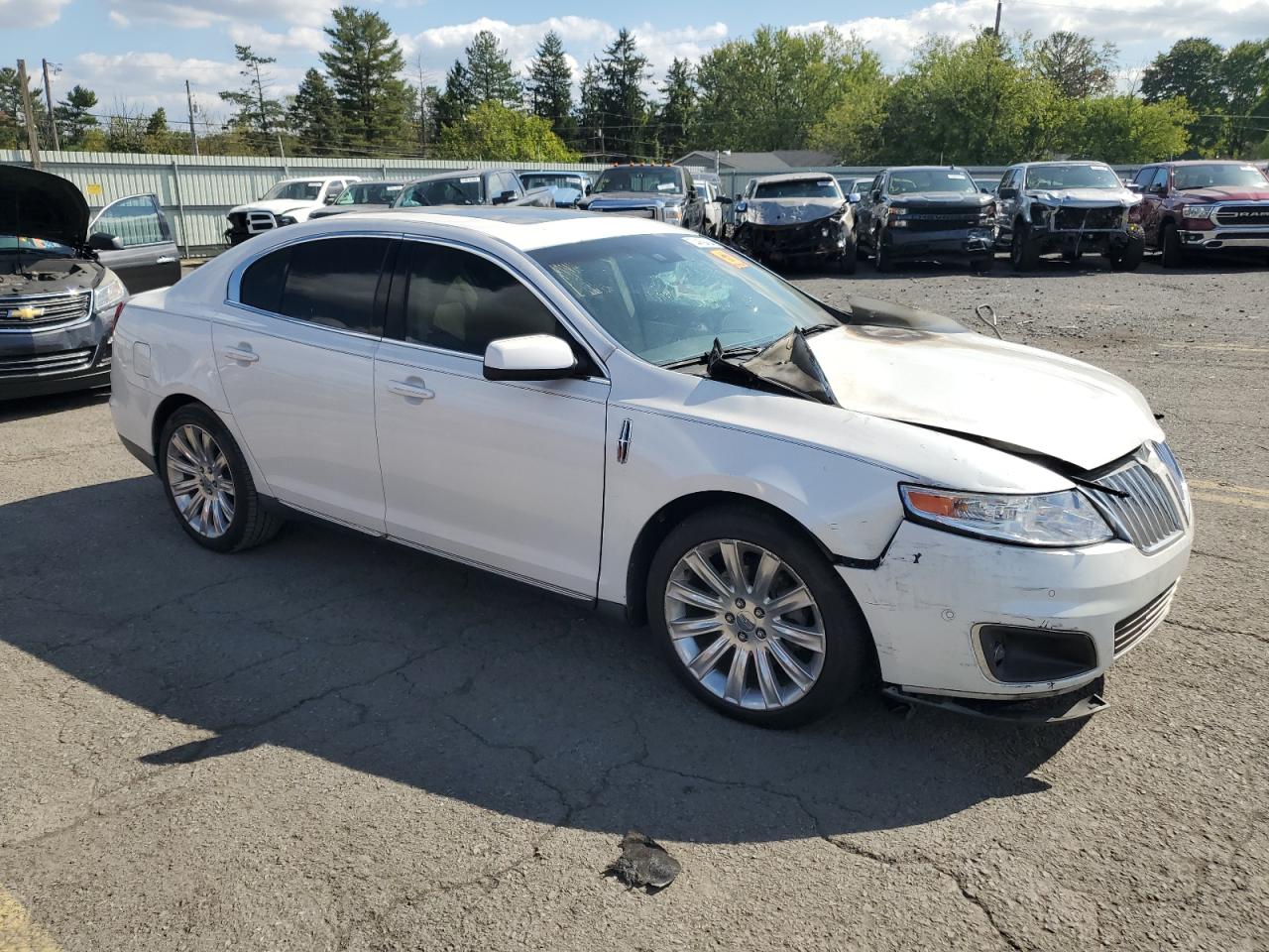 Lot #3052495134 2010 LINCOLN MKS