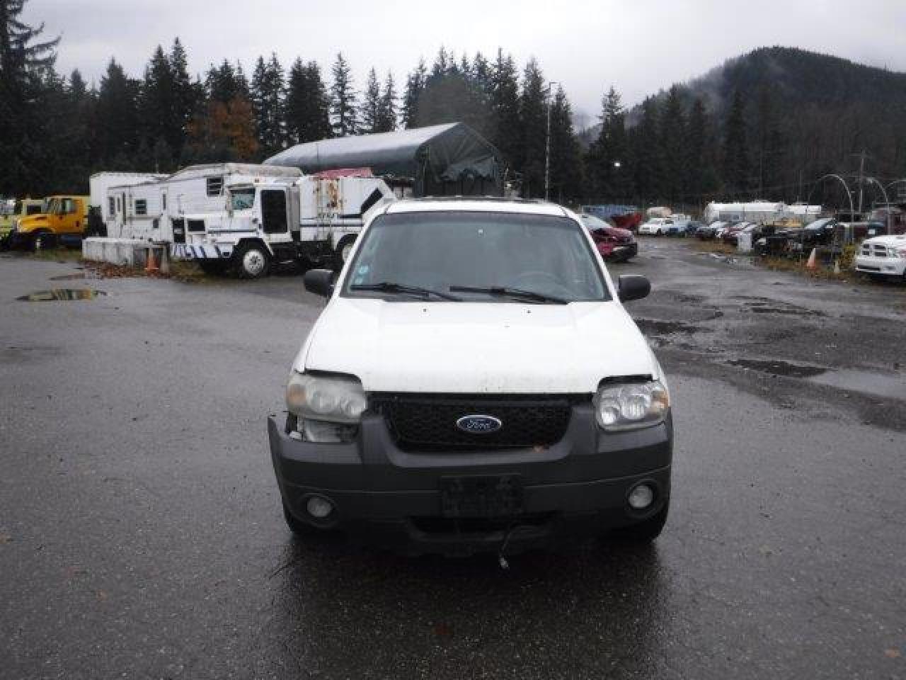 Lot #2928862551 2007 FORD ESCAPE XLT