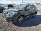 2023 SUBARU FORESTER P - JF2SKEEC6PH490637
