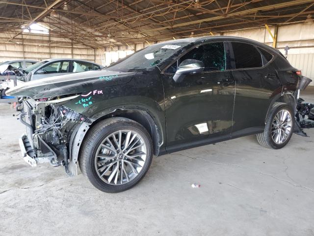 LEXUS NX 350H BA 2024 green  hybrid engine JTJHKCEZ4R2024211 photo #1