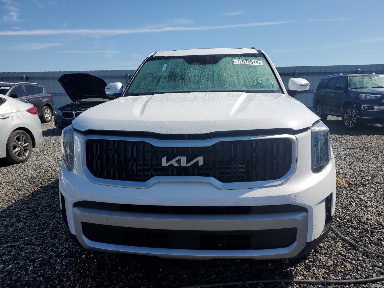 Lot #2989157927 2024 KIA TELLURIDE