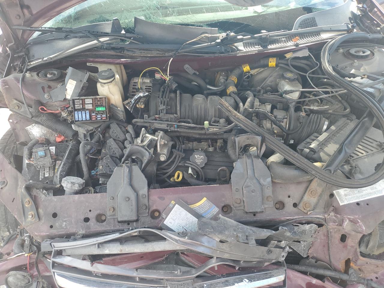 Lot #2943305674 2004 CHEVROLET IMPALA LS