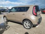 KIA SOUL + photo