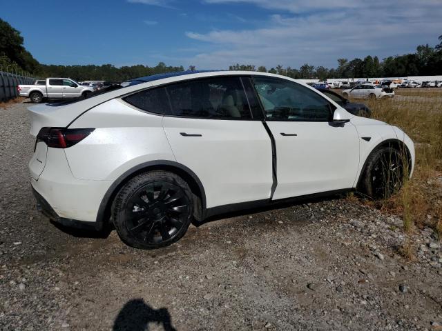 2024 TESLA MODEL Y - 7SAYGDEE7RF993704