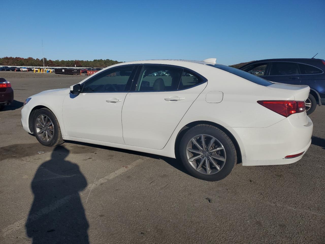 Lot #2988935636 2020 ACURA TLX