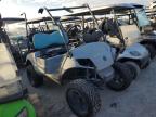 Lot #3025054241 2019 ASPT GOLF CART