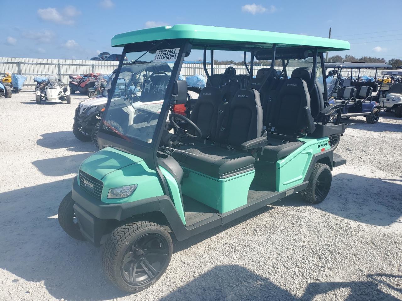 Lot #3028227022 2024 BINT GOLFCART