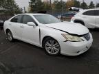 Lot #3006905597 2009 LEXUS ES 350