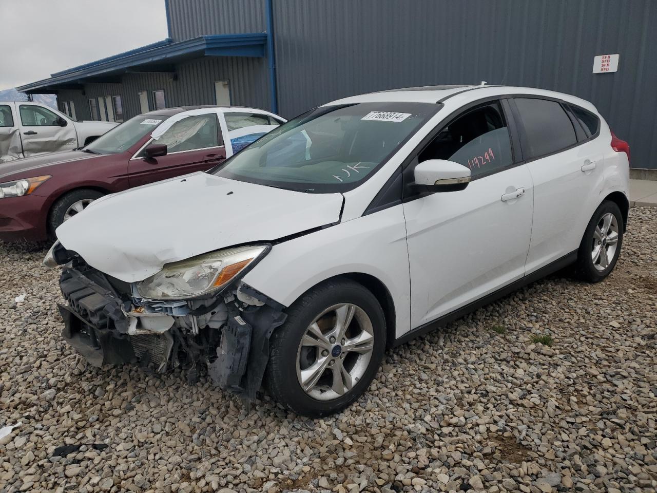 Lot #2962405119 2013 FORD FOCUS SE