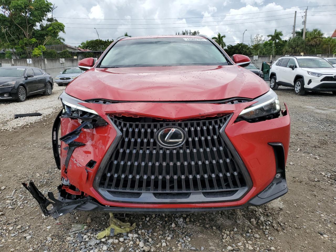 Lot #2990586681 2024 LEXUS NX 250 BAS