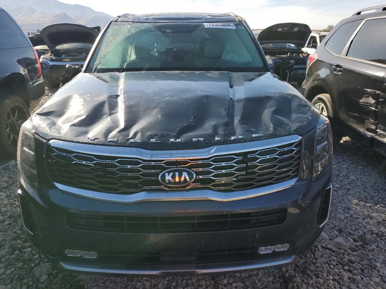 Lot #2943253883 2021 KIA TELLURIDE