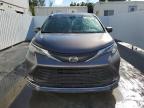 Lot #3028279788 2023 TOYOTA SIENNA XLE