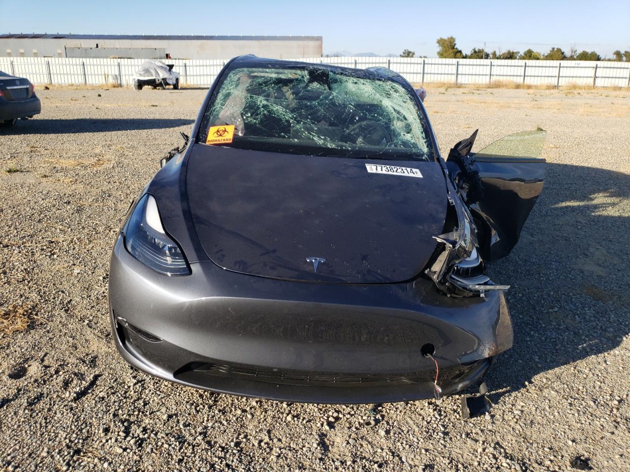 Lot #2974858082 2023 TESLA MODEL Y