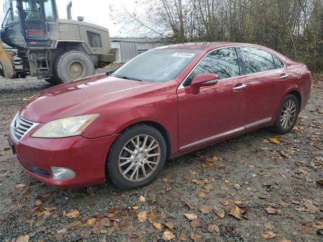 LEXUS ES 350 2011 red  gas JTHBK1EG1B2416482 photo #1