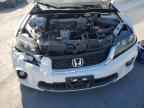 HONDA ACCORD EXL photo